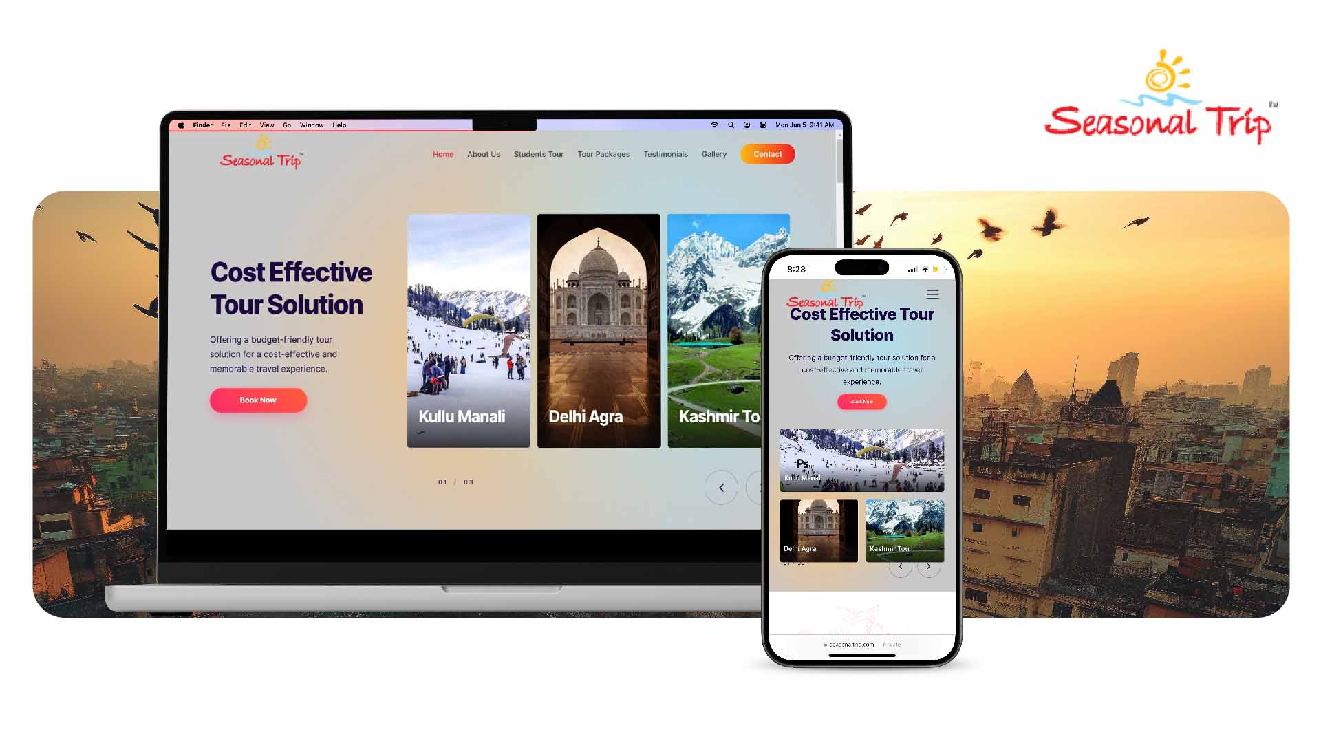 arius web portfolio 1